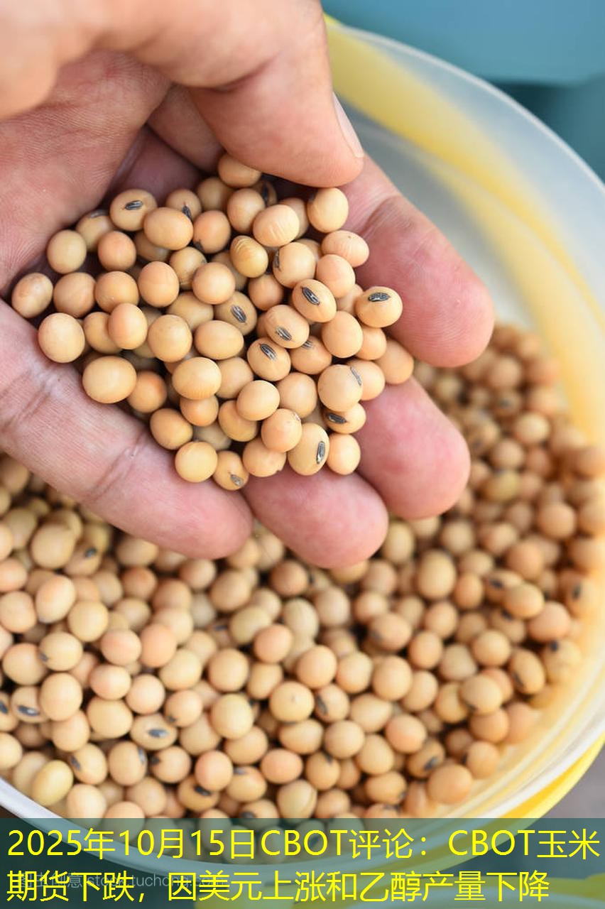 2025年10月15日CBOT评论：CBOT玉米期货下跌，因美元上涨和乙醇产量下降