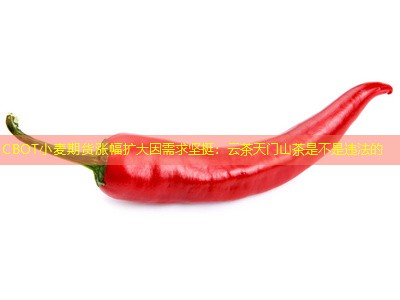 CBOT小麦期货涨幅扩大因需求坚挺