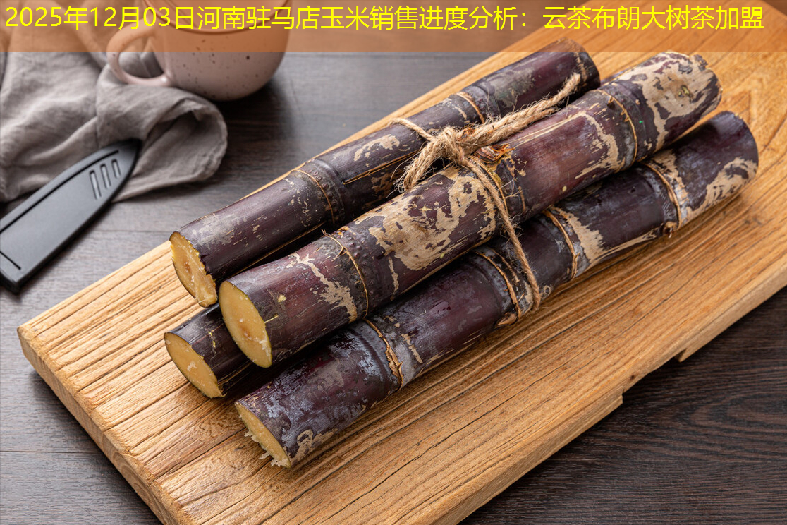 2025年12月03日河南驻马店玉米销售进度分析