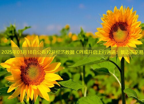 2025年03月18日公布12月经济数据 CPI或开启上行通道