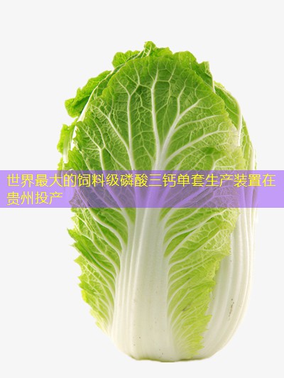 世界最大的饲料级磷酸三钙单套生产装置在贵州投产