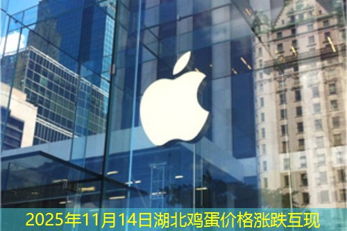 2025年11月14日湖北鸡蛋价格涨跌互现