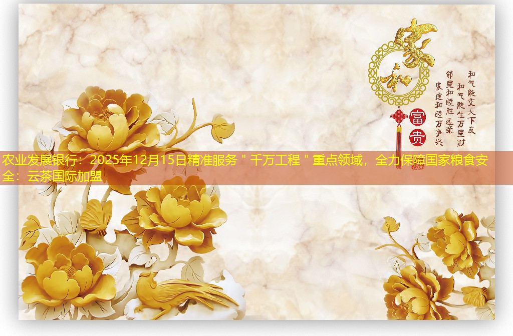 农业发展银行：2025年12月15日精准服务＂千万工程＂重点领域，全力保障国家粮食安全