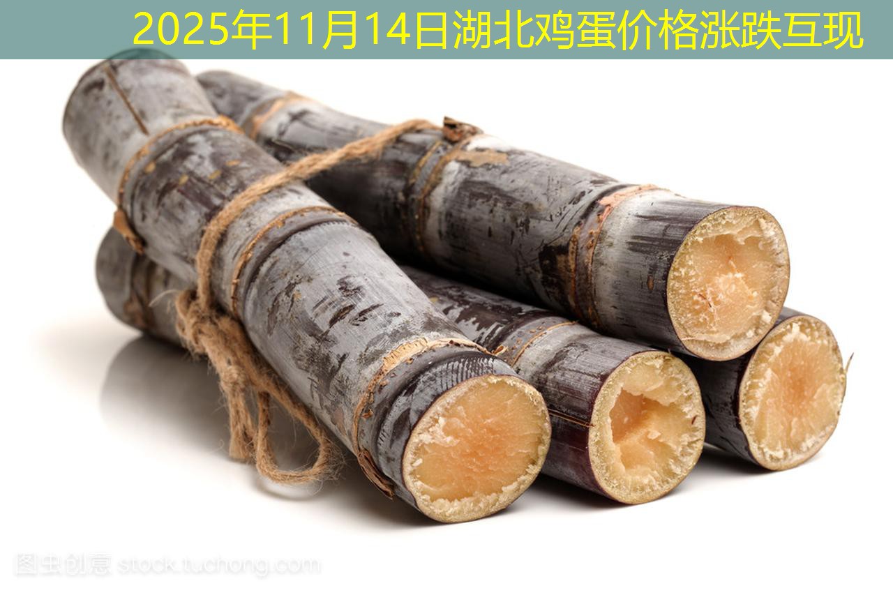 2025年11月14日湖北鸡蛋价格涨跌互现