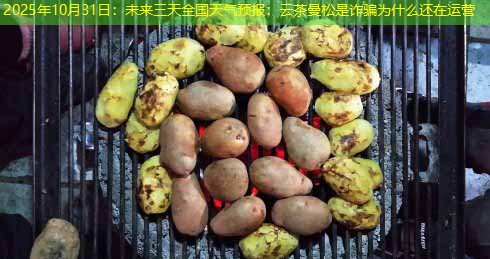 2025年10月31日：未来三天全国天气预报